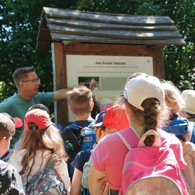 Jane Goodall nyomában a Jane Goodall tanösvényen 05.14.