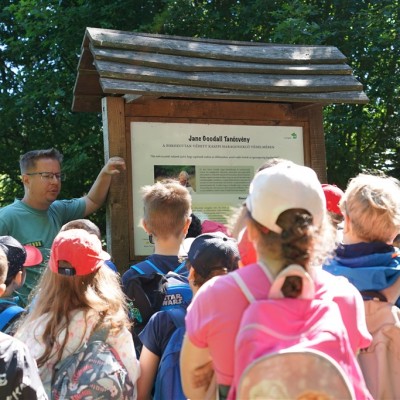 Jane Goodall nyomában a Jane Goodall tanösvényen 05.14.