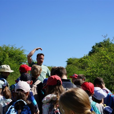 Jane Goodall nyomában a Jane Goodall tanösvényen 05.14.
