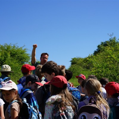 Jane Goodall nyomában a Jane Goodall tanösvényen 05.14.