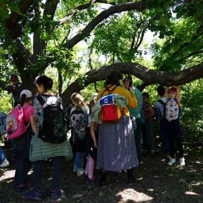 Jane Goodall nyomában a Jane Goodall tanösvényen 05.14.