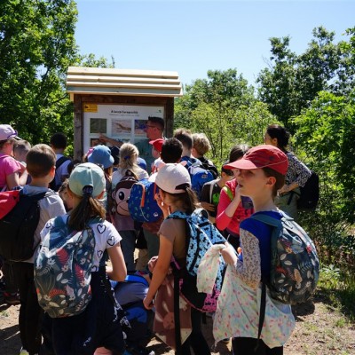 Jane Goodall nyomában a Jane Goodall tanösvényen 05.14.