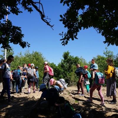 Jane Goodall nyomában a Jane Goodall tanösvényen 05.14.