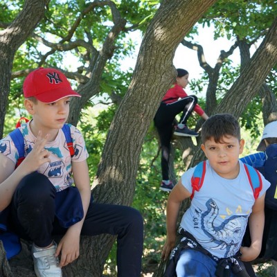 Jane Goodall nyomában a Jane Goodall tanösvényen 05.14.