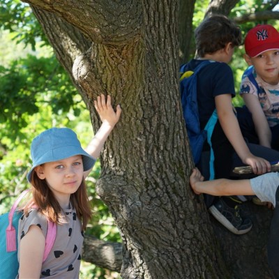 Jane Goodall nyomában a Jane Goodall tanösvényen 05.14.