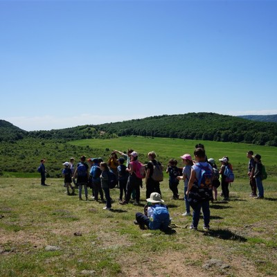 Jane Goodall nyomában a Jane Goodall tanösvényen 05.14.