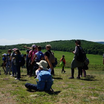 Jane Goodall nyomában a Jane Goodall tanösvényen 05.14.