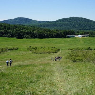 Jane Goodall nyomában a Jane Goodall tanösvényen 05.14.